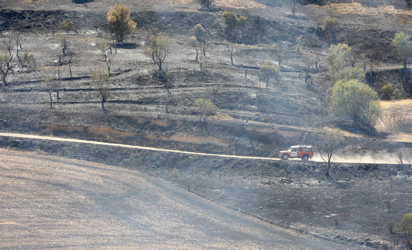 Fotos: Incendio en Yerga: las imágenes del fuego que quema el monte riojano