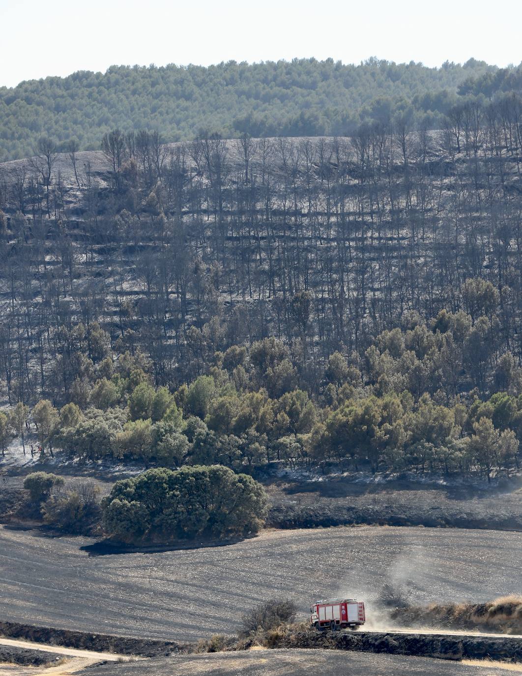 Fotos: Incendio en Yerga: las imágenes del fuego que quema el monte riojano
