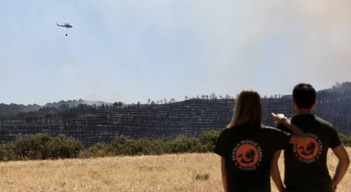 Fotos: Incendio en Yerga: las imágenes del fuego que quema el monte riojano