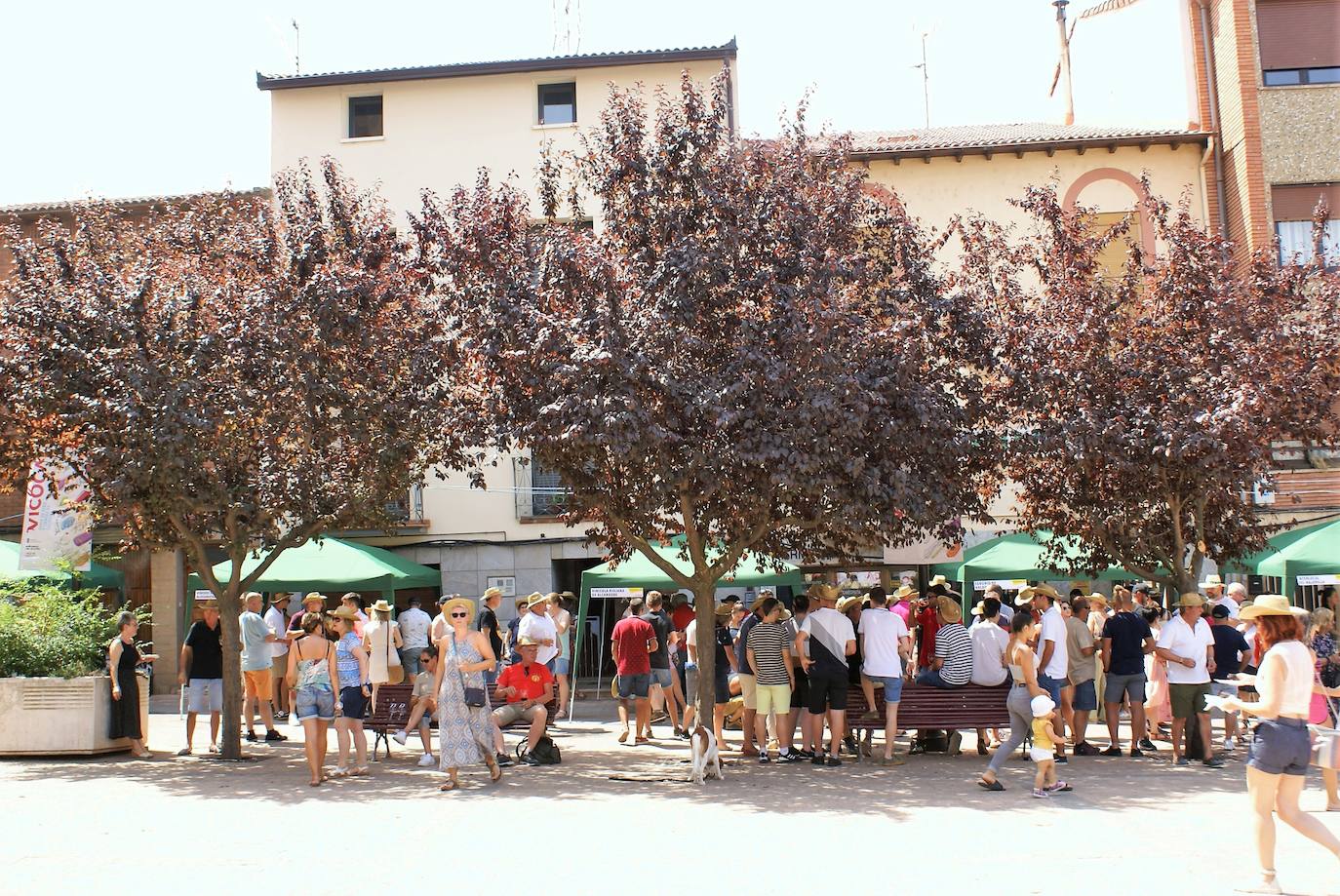 Fotos: Feria de vino y comida de Huércanos