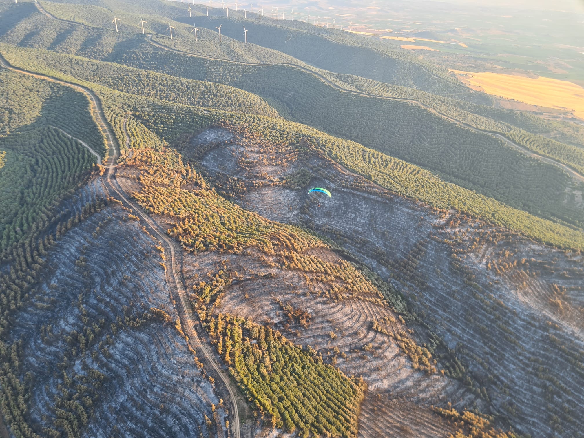 Fotos: Así se ven desde el aire las 104 hectáreas quemadas en Yerga