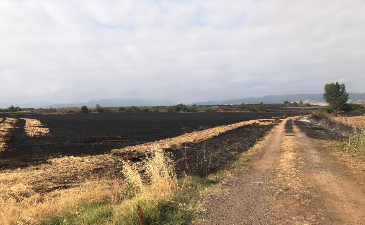 La zona de las granjas en Torrecilla sobre Alesanco donde el martes se produjo uno de los incendios. 