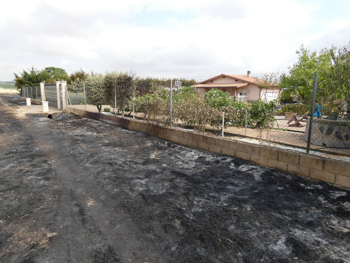 Fotos: Un incendio calcinó 50 hectáreas en Santo Domingo