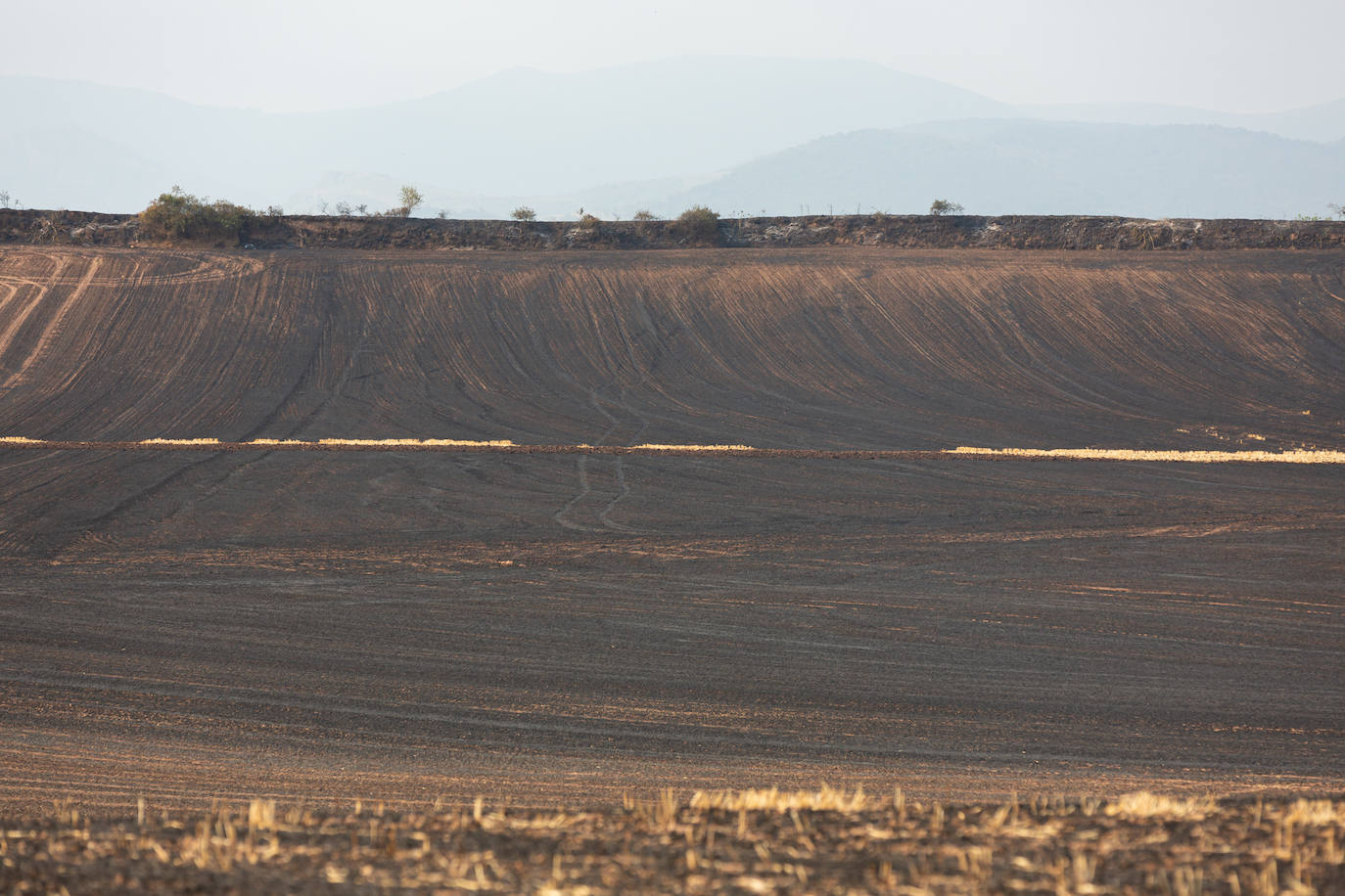 Fincas quemadas en Torrecilla sobre Alesanco.