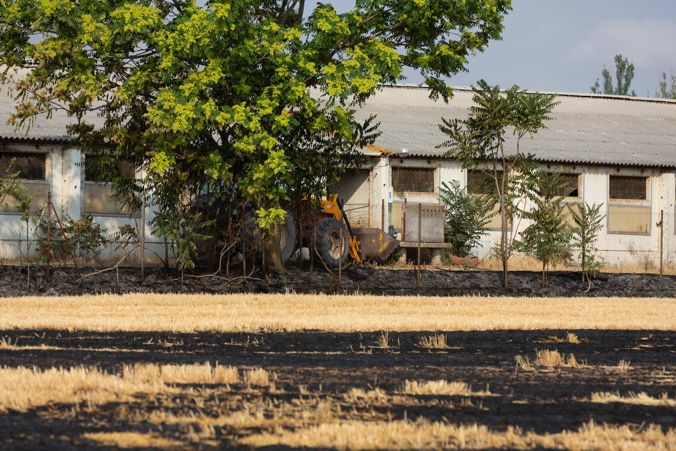 Fincas quemadas en Torrecilla sobre Alesanco.