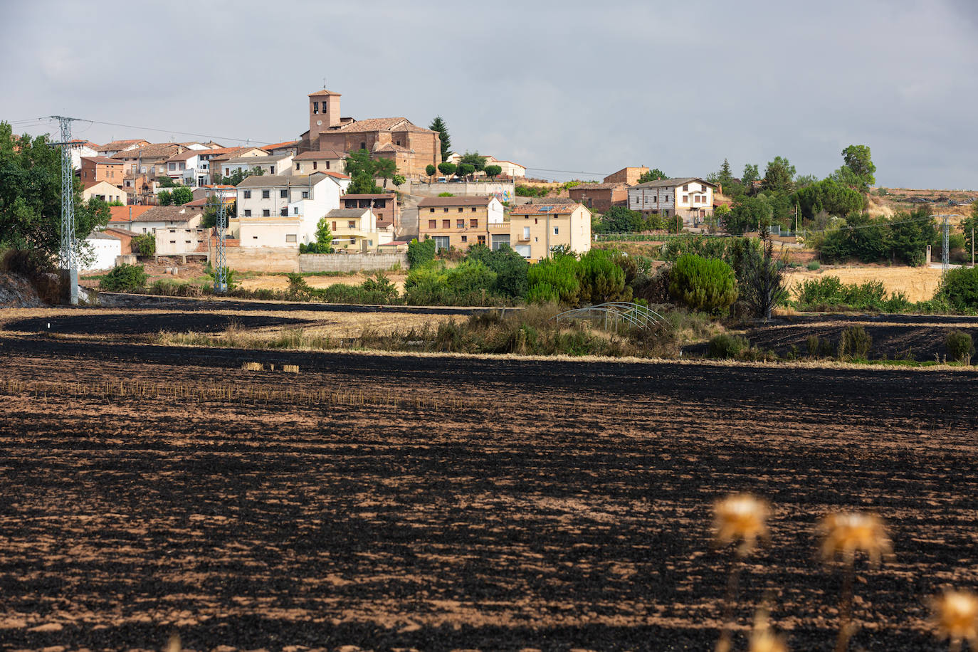 Fincas quemadas en Torrecilla sobre Alesanco.