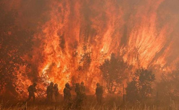 Los bomberos pelean contra las llamas en el término municipal de Pumarejo. 