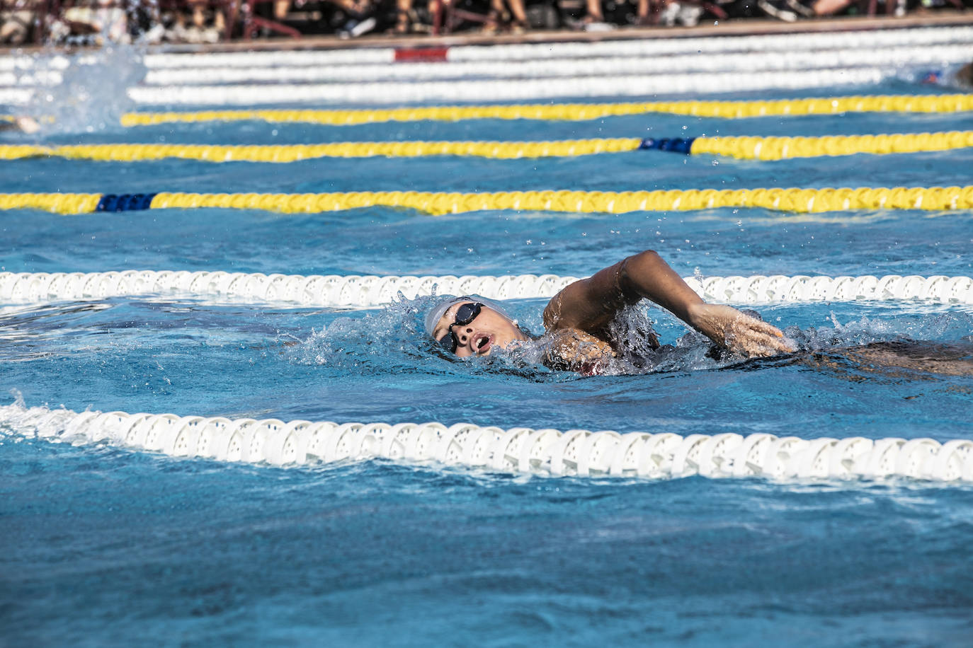 Fotos: Campeonato de España Infantil de natación en Logroño