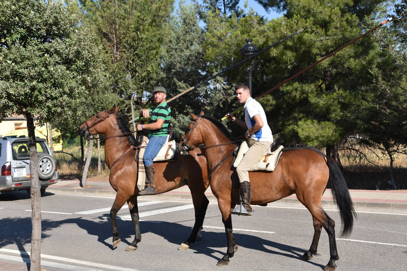 Fotos: La saca de vacas de Valverde