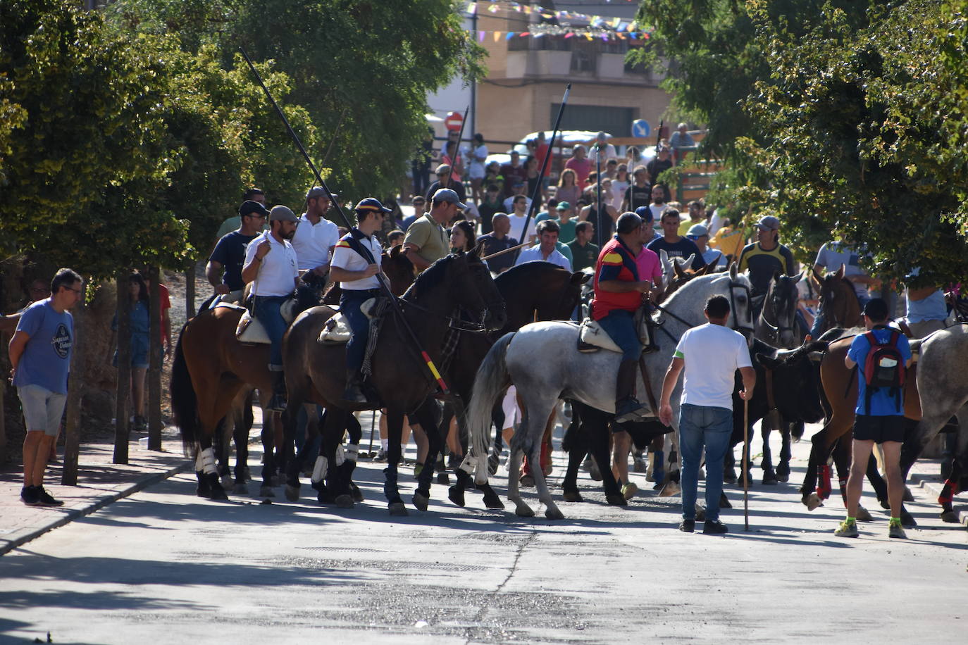 Fotos: La saca de vacas de Valverde