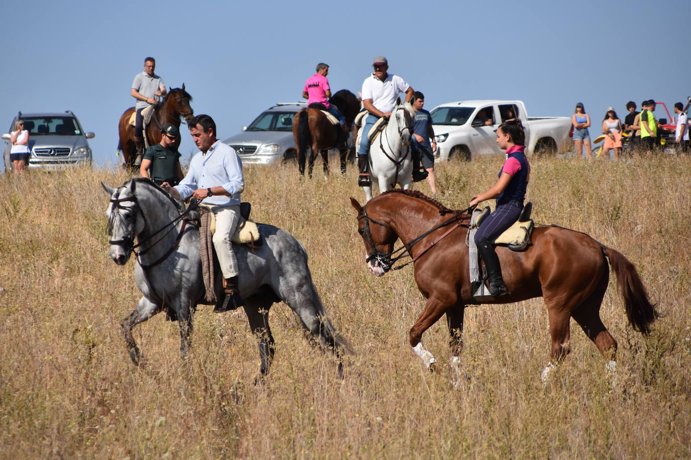 Fotos: La saca de vacas de Valverde