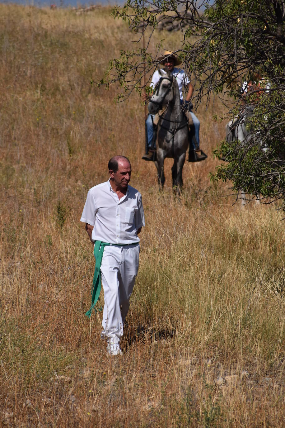 Fotos: La saca de vacas de Valverde