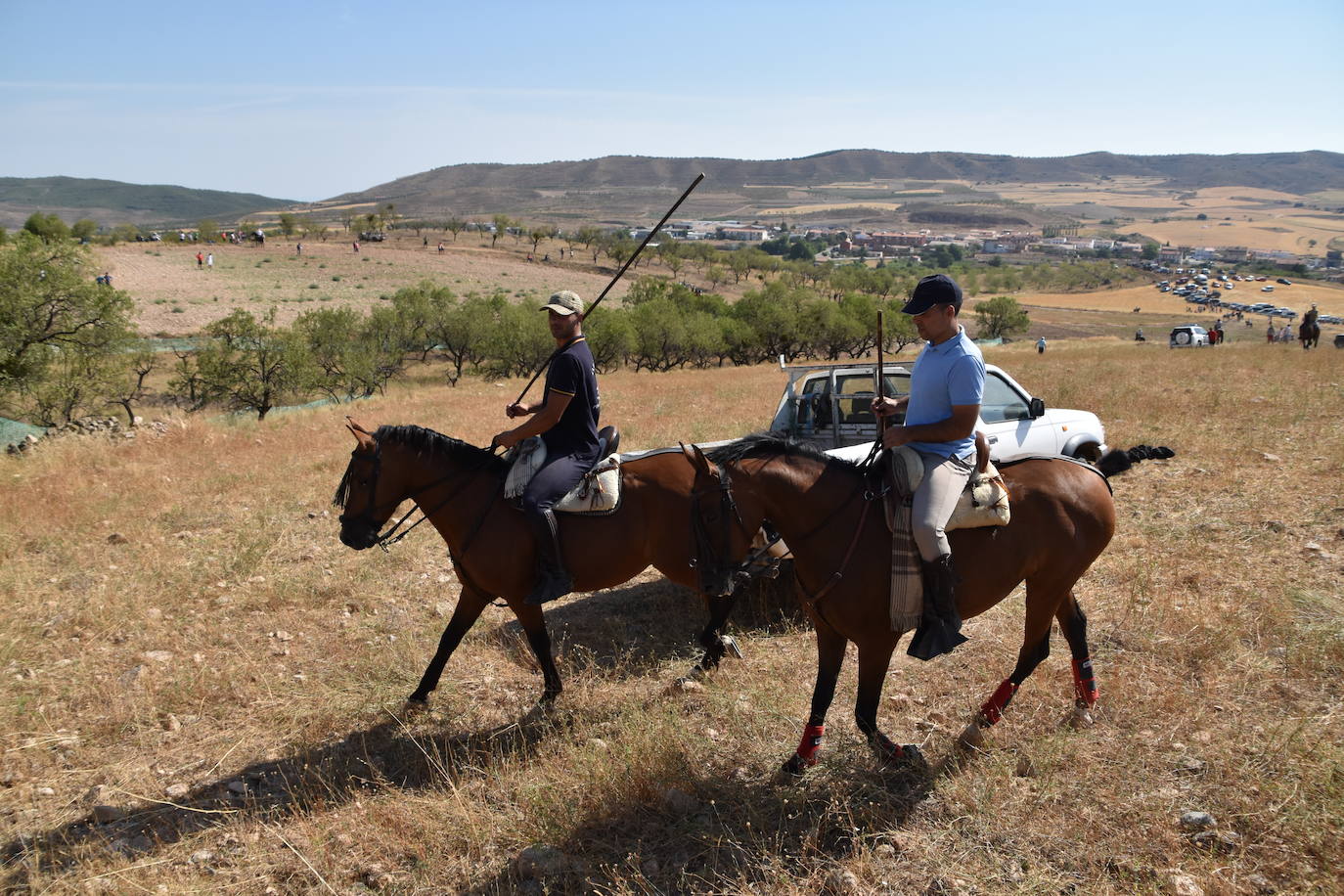 Fotos: La saca de vacas de Valverde