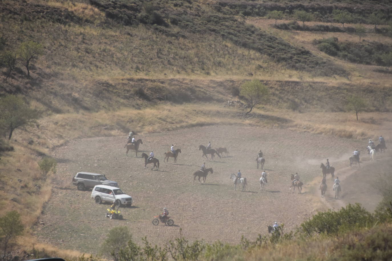 Fotos: La saca de vacas de Valverde