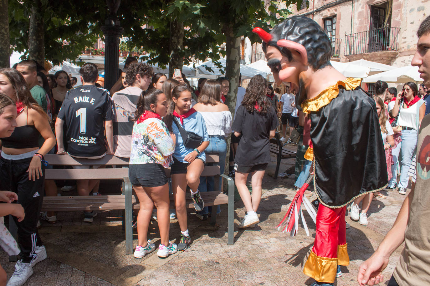 Fotos: Gigantes y cabezudos, protagonistas en Ezcaray