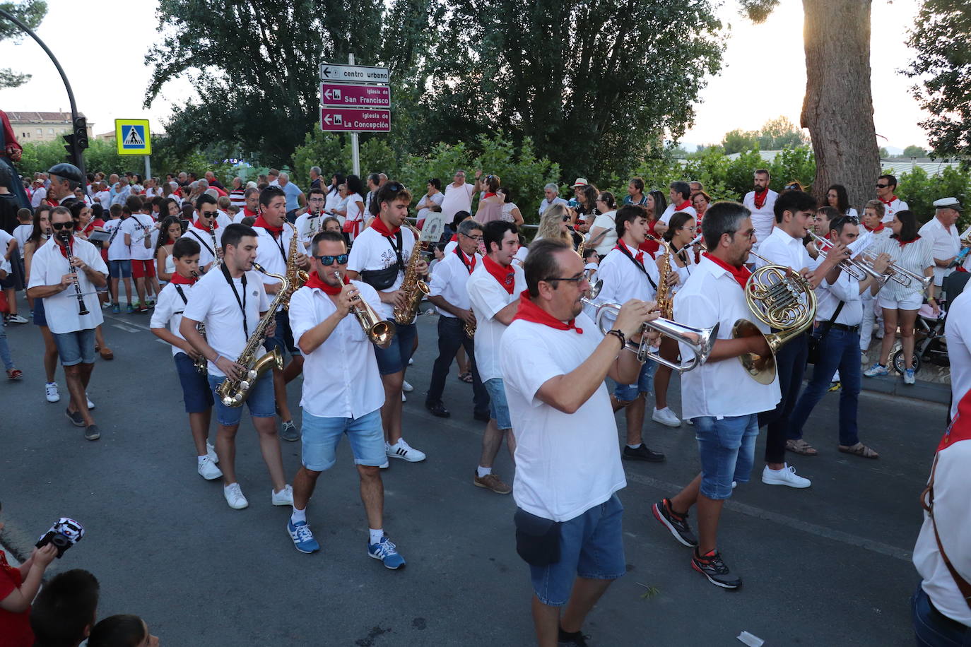 Fotos: El desfile de carrozas de Alfaro