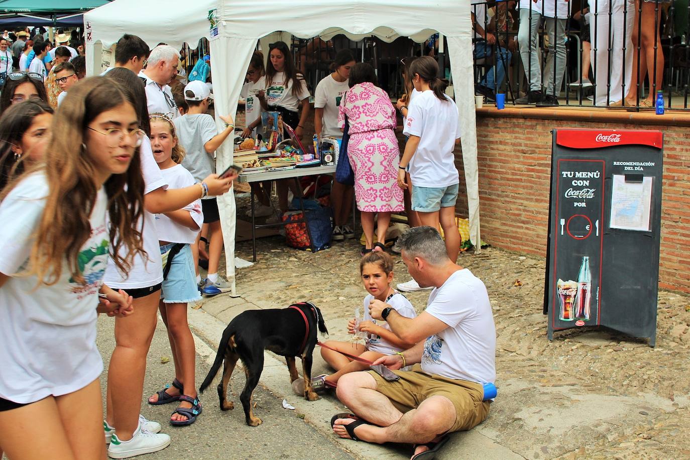 Fotos: 25 Fiesta de la Solidaridad de Torrecilla