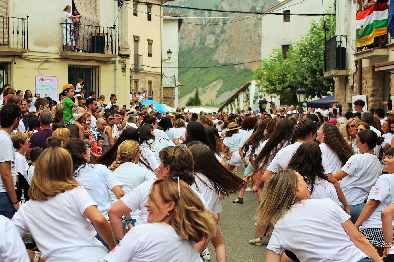 Fotos: 25 Fiesta de la Solidaridad de Torrecilla