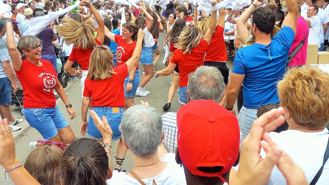 Fotos: 25 Fiesta de la Solidaridad de Torrecilla