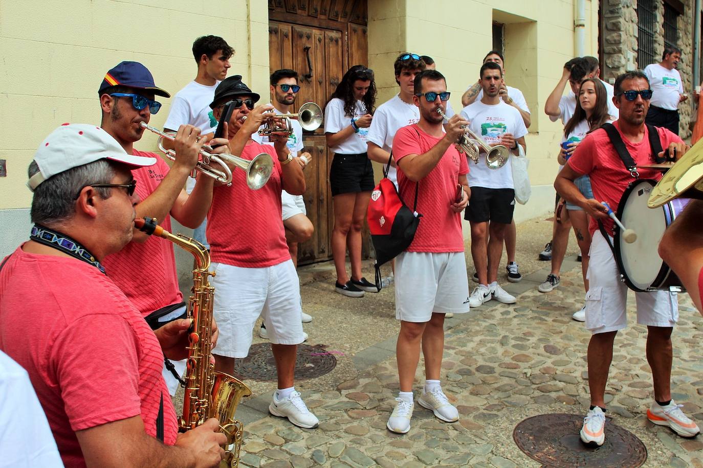 Fotos: 25 Fiesta de la Solidaridad de Torrecilla