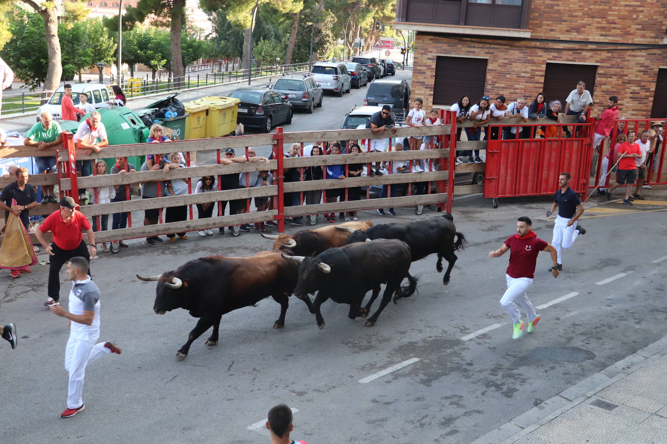 Fotos: Alfaro, territorio festivo