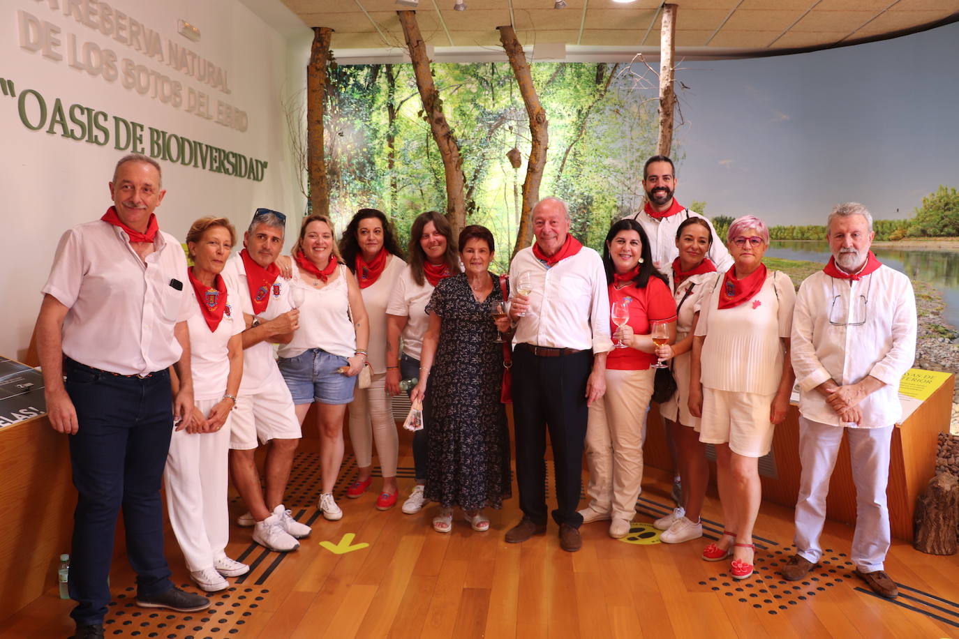 Fotos: El cohete desborda la alegría en Alfaro