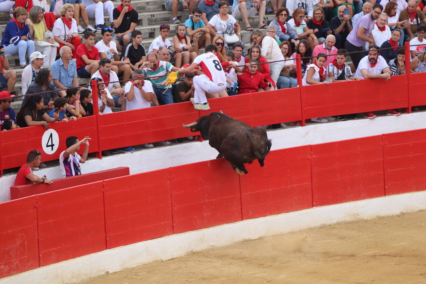 Fotos: Las imágenes de la fiesta en Alfaro