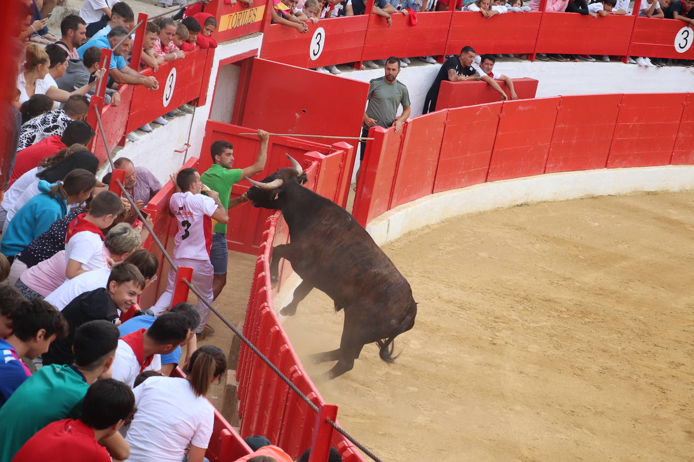 Fotos: Las imágenes de la fiesta en Alfaro