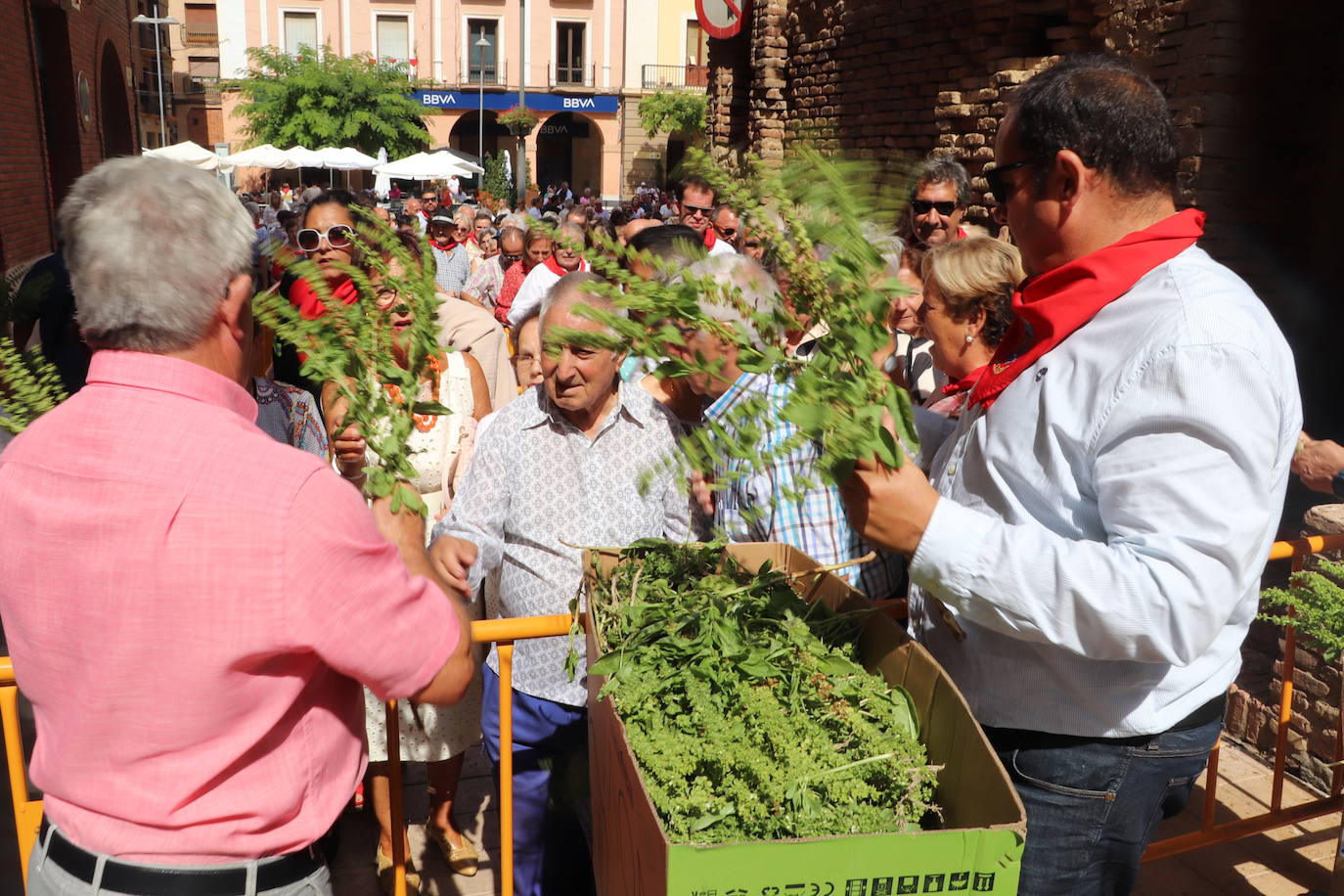 Fotos: Alfaro honra a San Roque y San Ezequiel