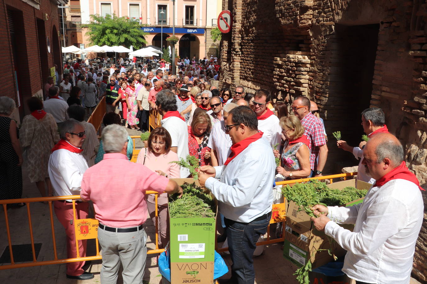 Fotos: Alfaro honra a San Roque y San Ezequiel