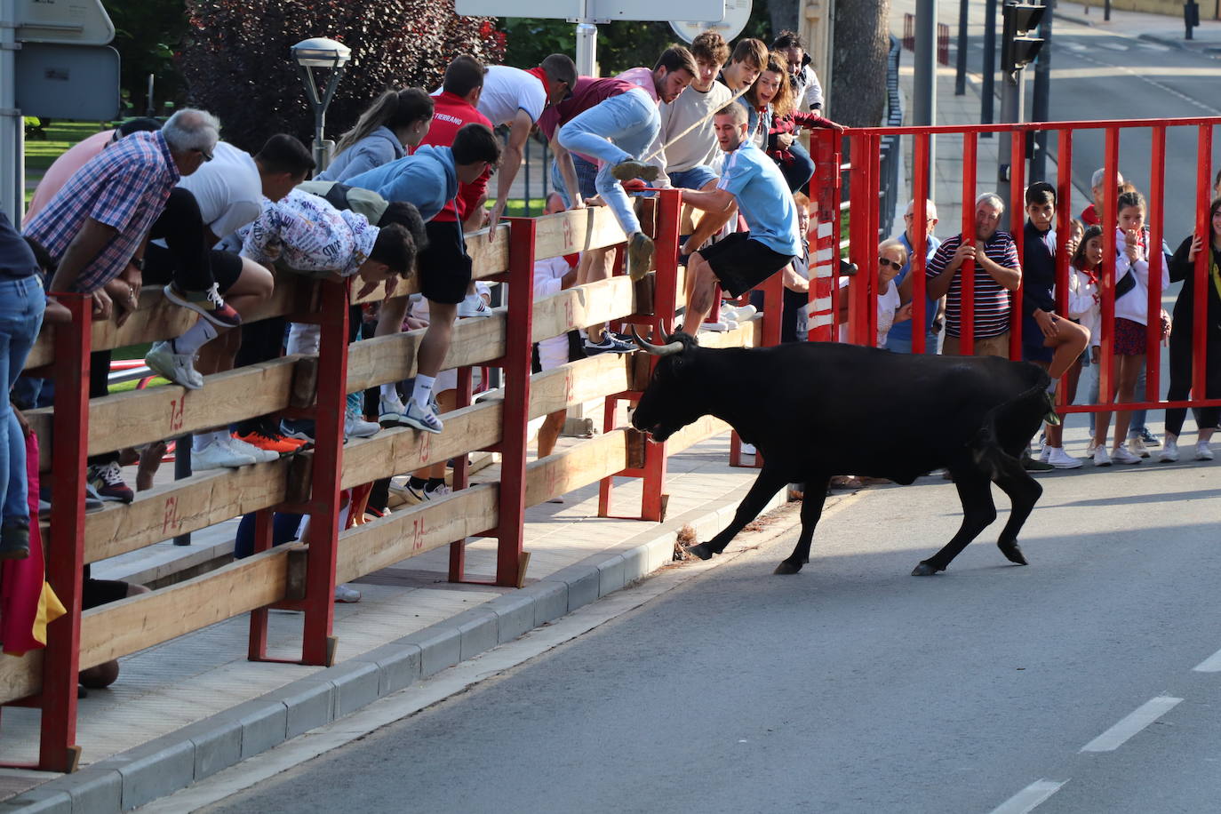 Fotos: Los festejos menores triunfan en las fiestas de Alfaro