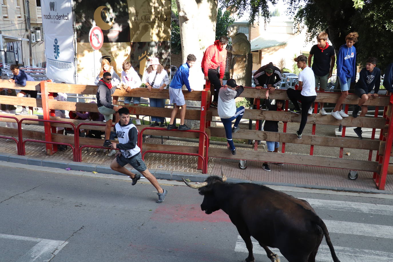 Fotos: Los festejos menores triunfan en las fiestas de Alfaro