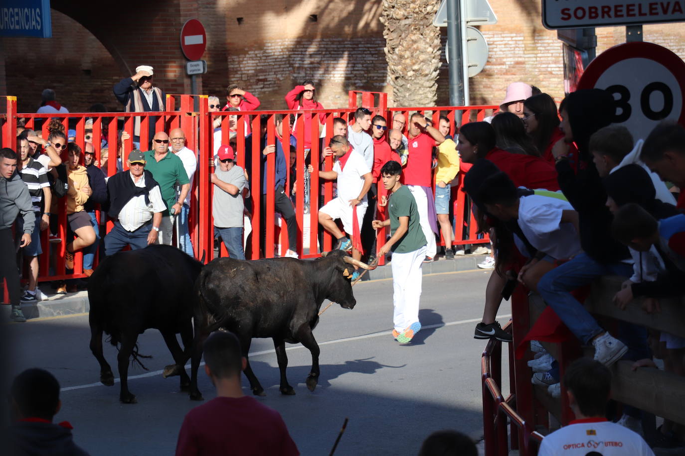 Fotos: Los festejos menores triunfan en las fiestas de Alfaro