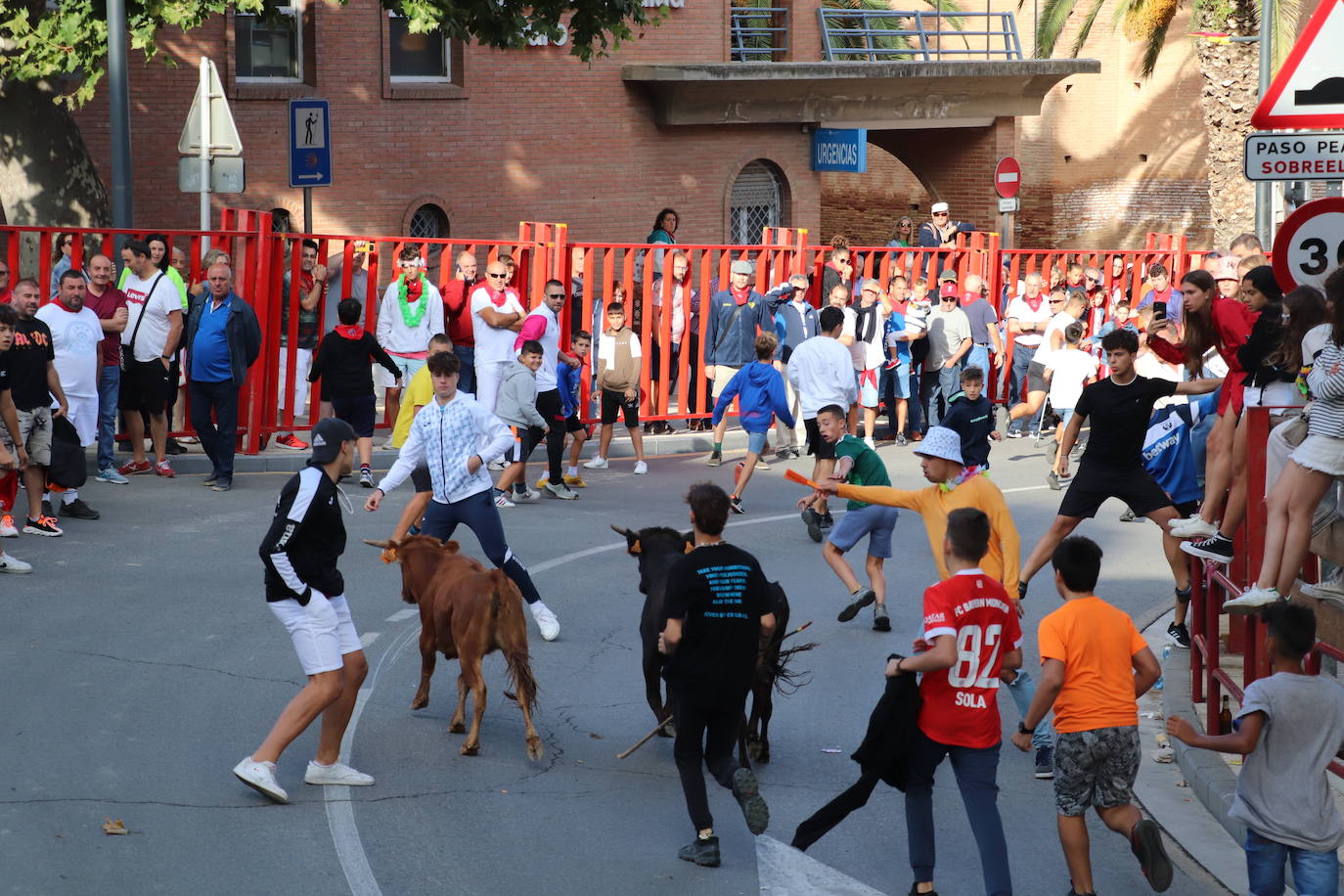 Fotos: Los festejos menores triunfan en las fiestas de Alfaro