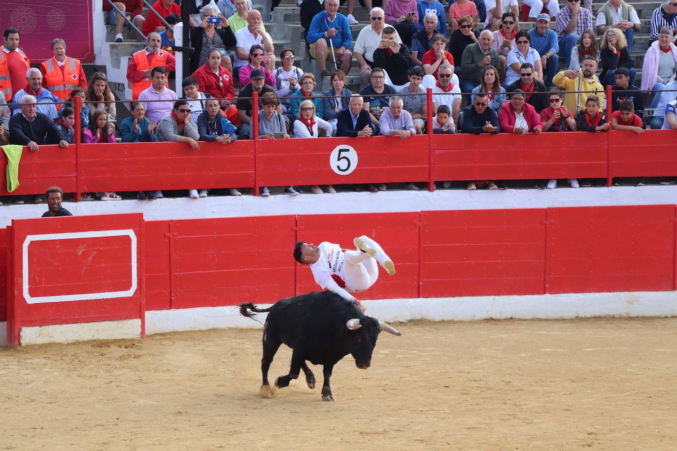 Fotos: Los festejos menores triunfan en las fiestas de Alfaro