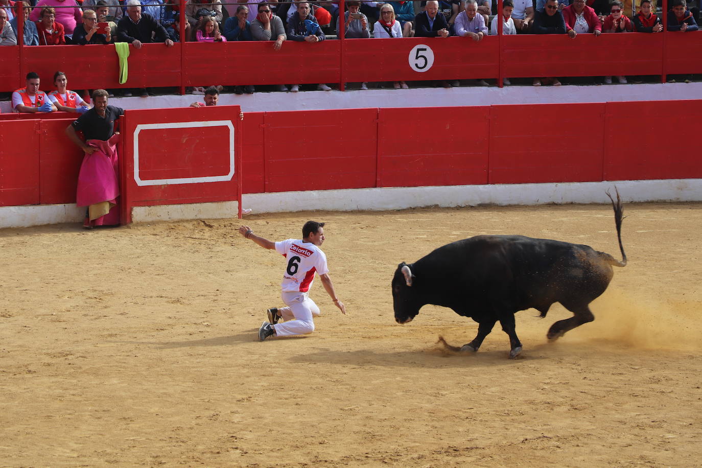 Fotos: Los festejos menores triunfan en las fiestas de Alfaro