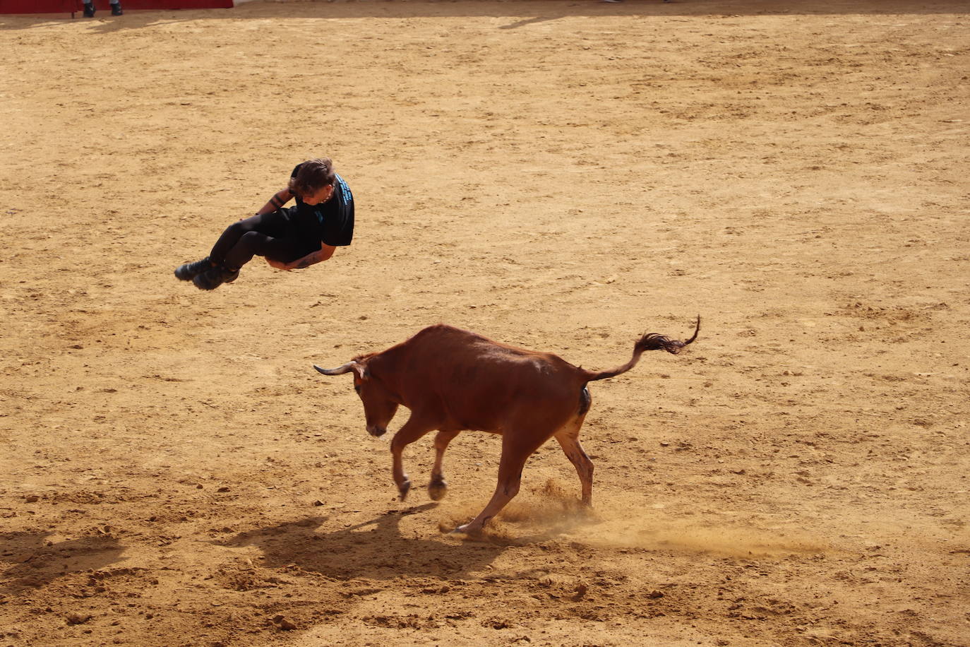 Fotos: Los festejos menores triunfan en las fiestas de Alfaro