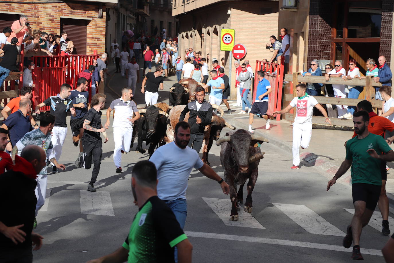 Fotos: Los festejos menores triunfan en las fiestas de Alfaro