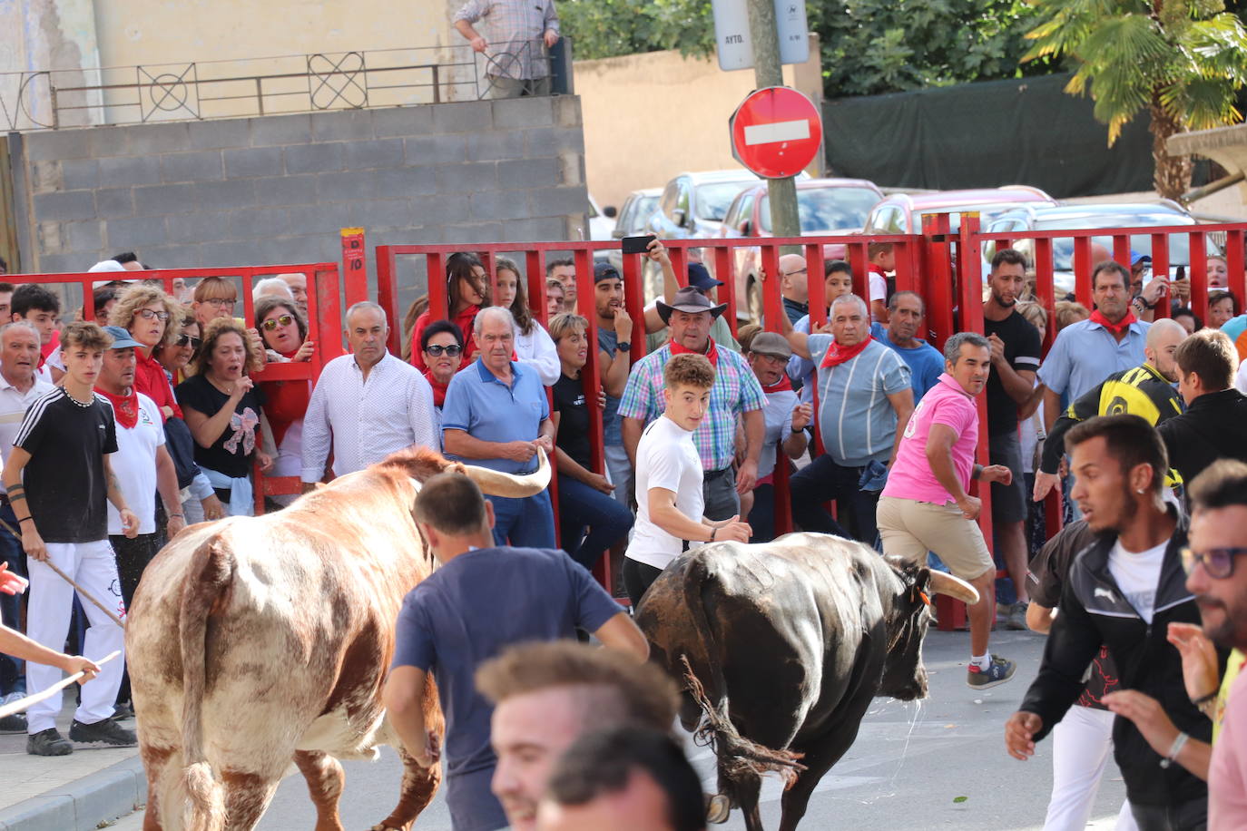 Fotos: Los festejos menores triunfan en las fiestas de Alfaro