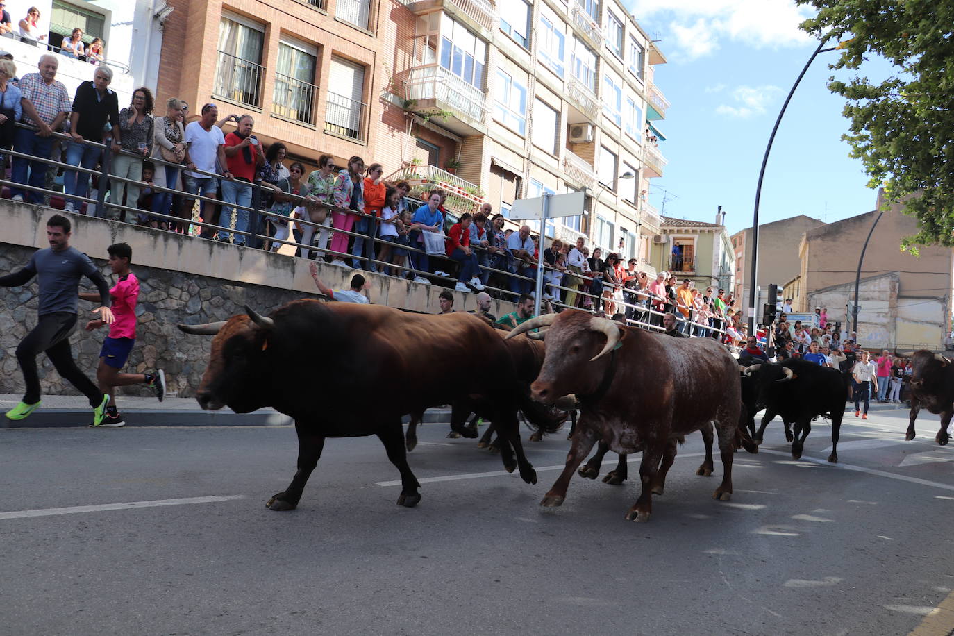 Fotos: Los festejos menores triunfan en las fiestas de Alfaro