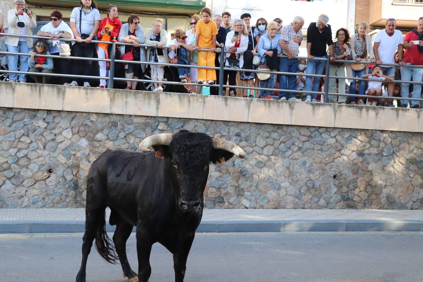 Fotos: Los festejos menores triunfan en las fiestas de Alfaro