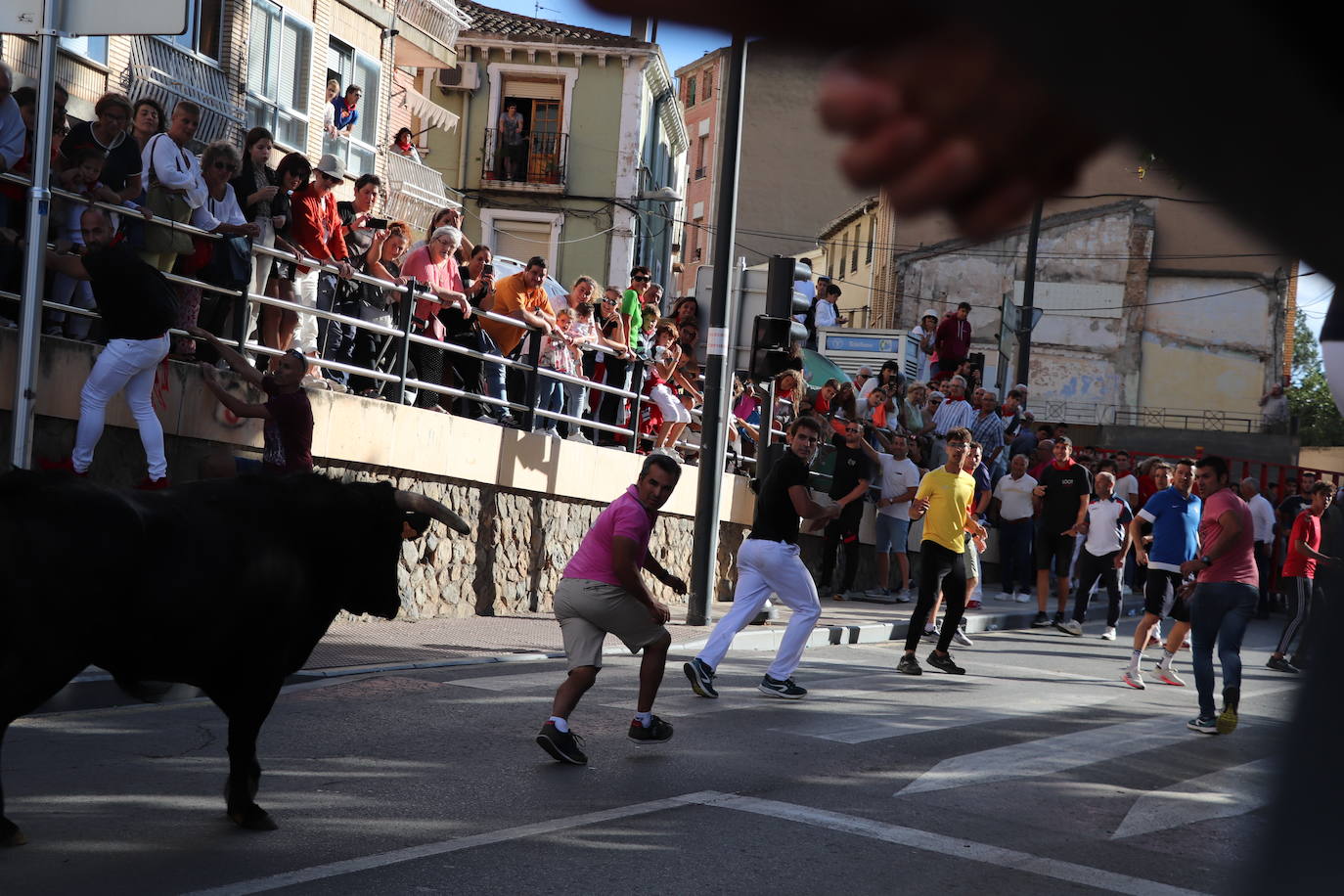 Fotos: Los festejos menores triunfan en las fiestas de Alfaro