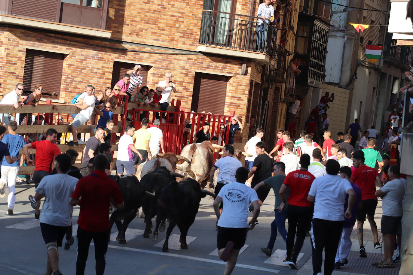 Fotos: Alfaro: último día de fiestas