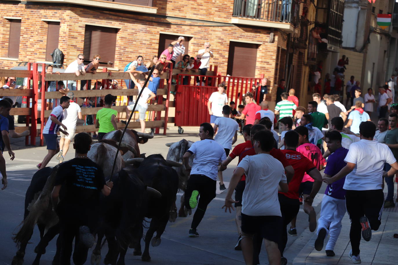 Fotos: Alfaro: último día de fiestas