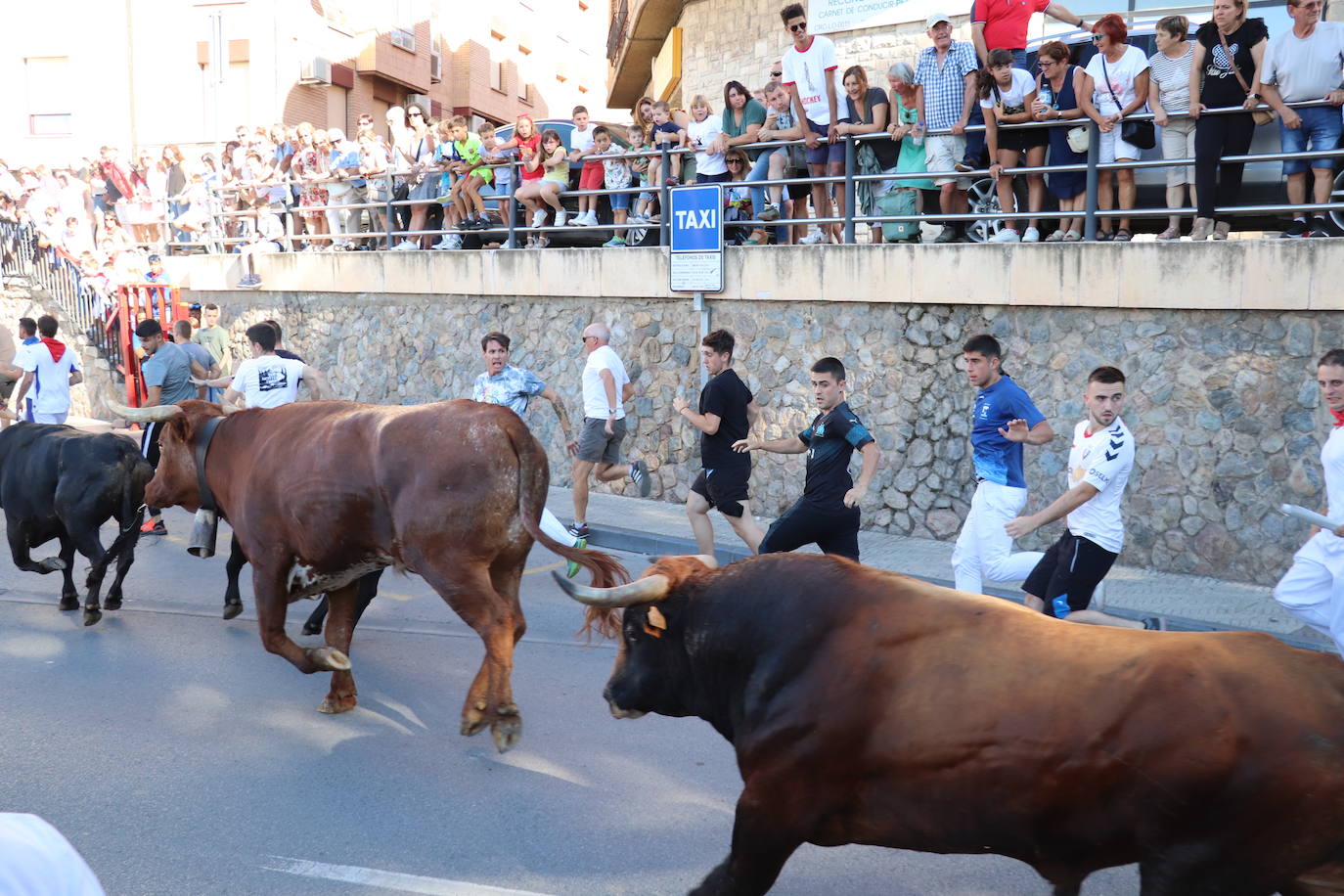 Fotos: Alfaro: último día de fiestas