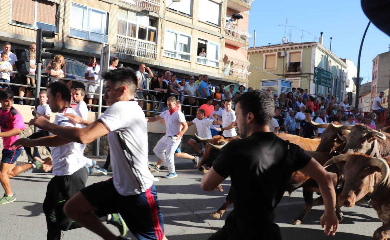 Fiestas de Alfaro