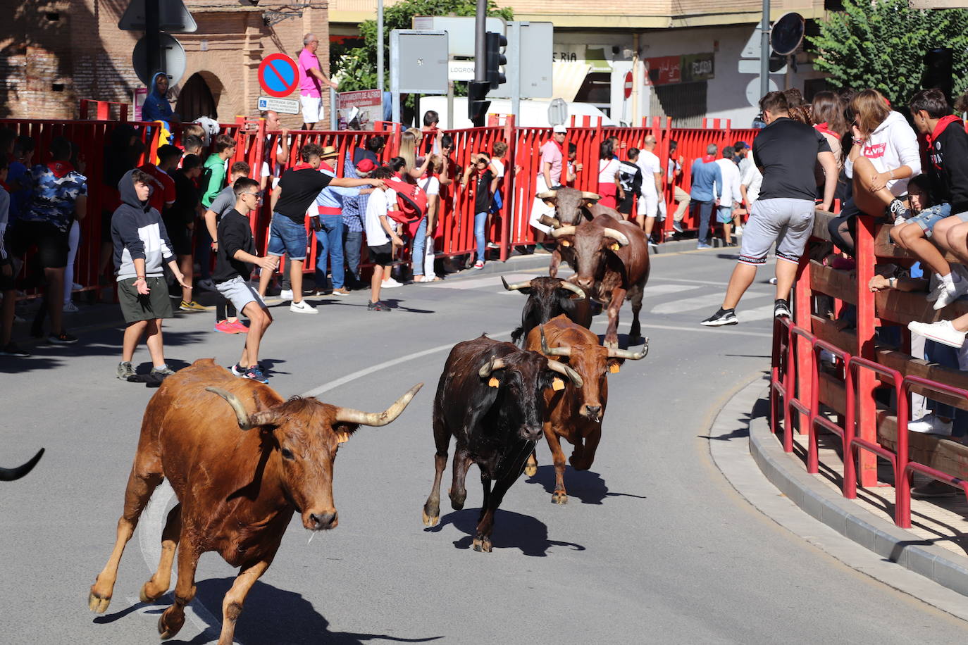 Fotos: Día joven en las fiestas de Alfaro