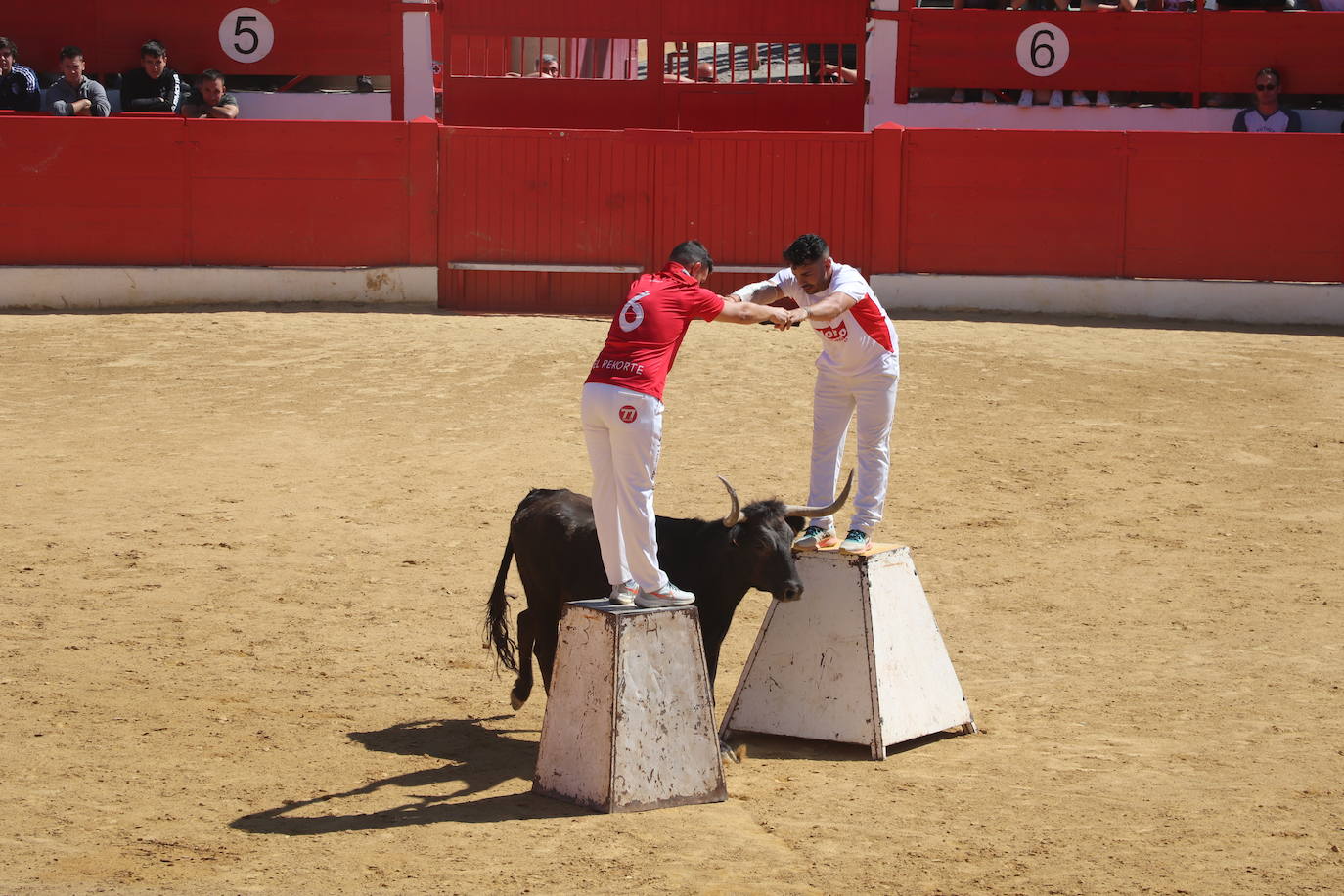 Fotos: Día joven en las fiestas de Alfaro