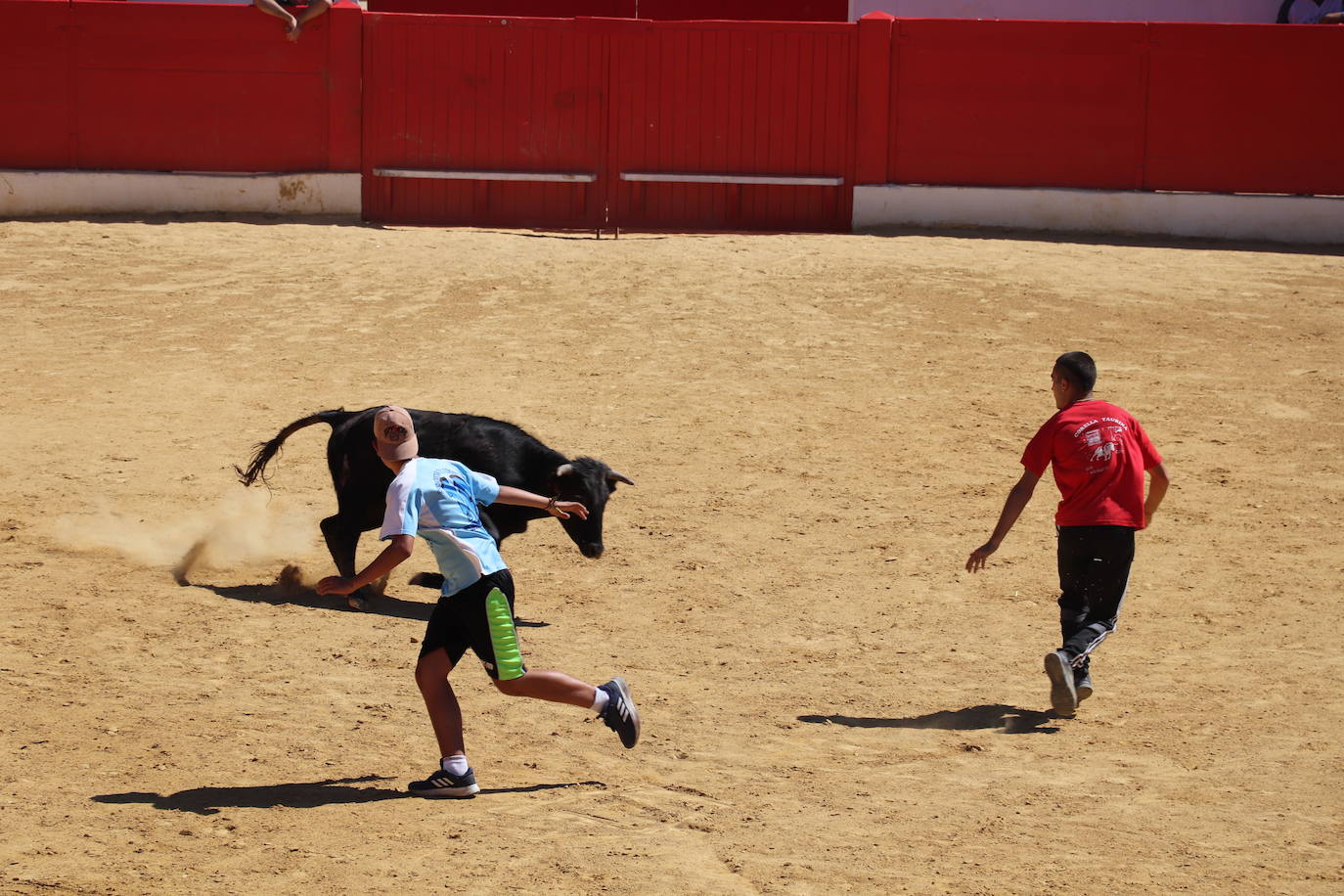 Fotos: Día joven en las fiestas de Alfaro