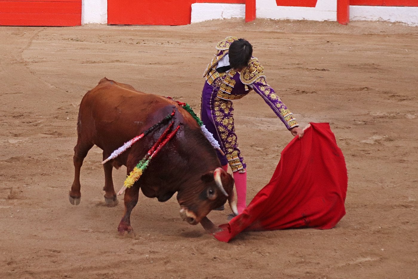 El riojano Alberto Donaire toreando al natural al novillo que le cortó una oreja. 